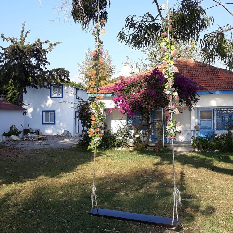 Okaliptus Butik Hotel Fethiye Exterior foto