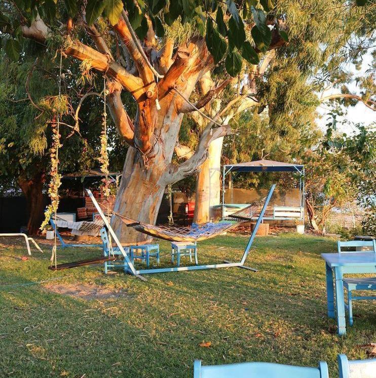 Okaliptus Butik Hotel Fethiye Exterior foto