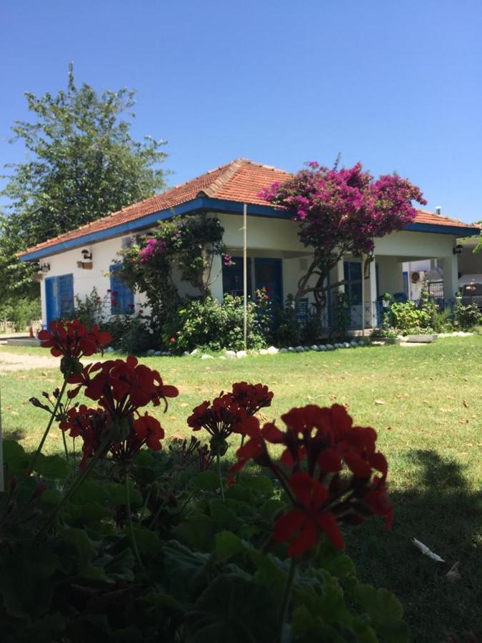 Okaliptus Butik Hotel Fethiye Exterior foto